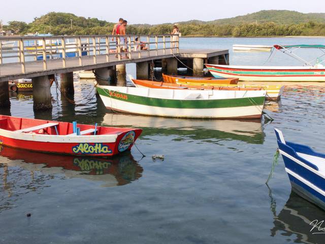 Natureza de Passagem - Cabo Frio/RJ