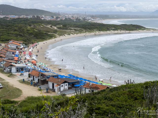 Natureza de PRAIA DAS CONCHAS - CABO FRIO/RJ