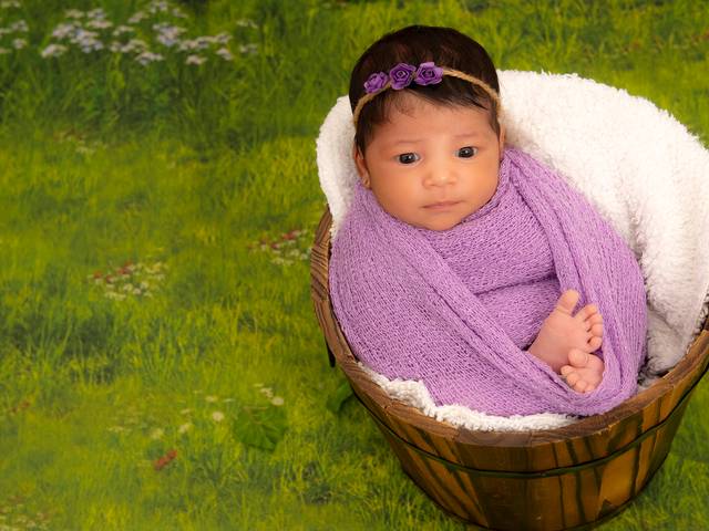 Newborn de Ensaio Newborn Alana 