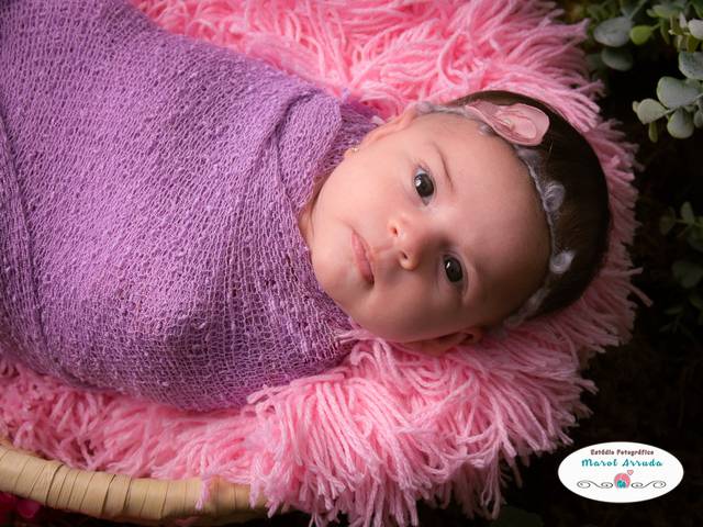 Newborn de Book Newborn- Isis