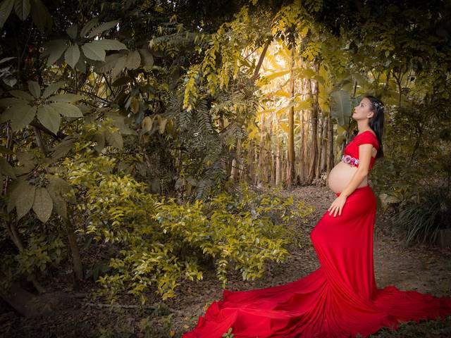 Gestante de Ensaio Gestante de Haydee 