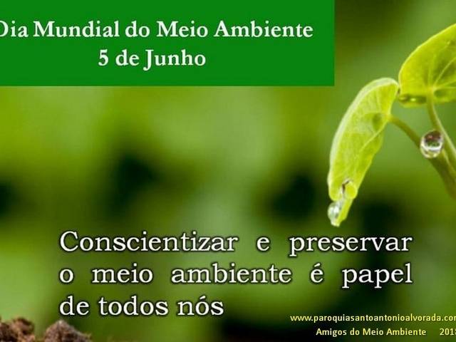 Reunião de Amigos do Meio Ambiente