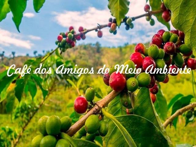 CURSOS de Café dos amigos do Meio AmbienteSem título