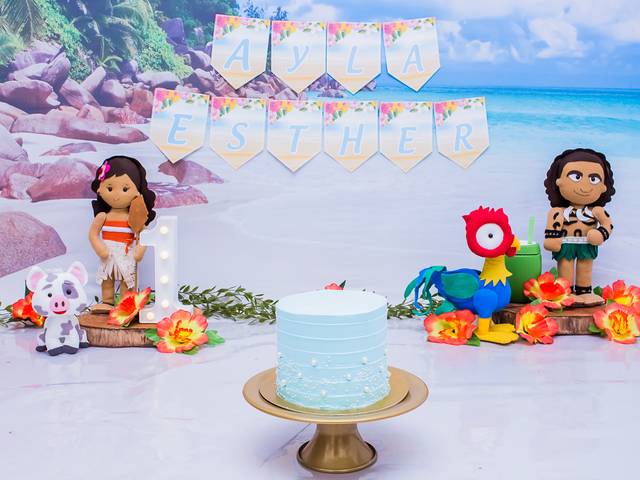 Smash the Cake de Smash the cake - Ayla Esther