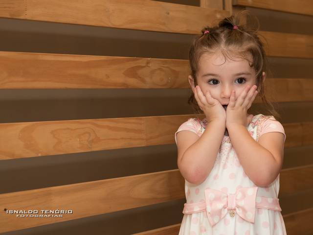 Aniversários de Ana Laura | Aniversário | Joinville | SC