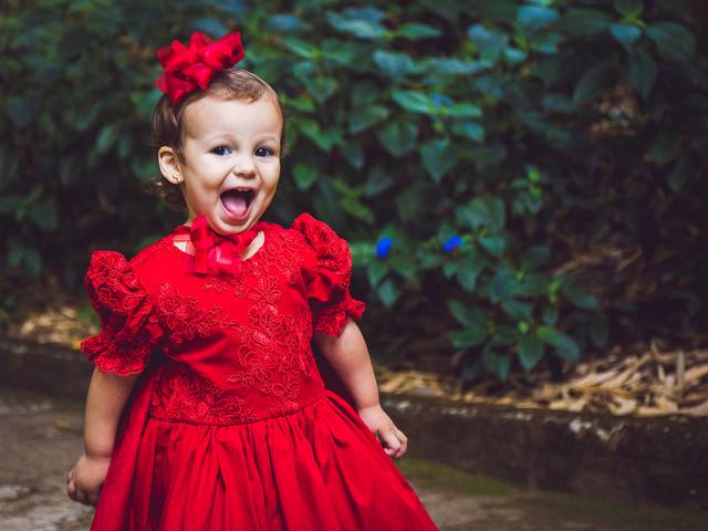 Festas de Luiza 2 Aninhos