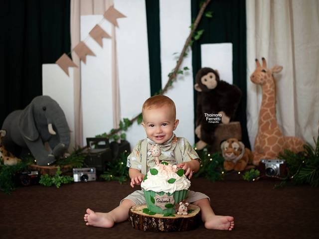 Smash the Cake de Gabriel - Safari