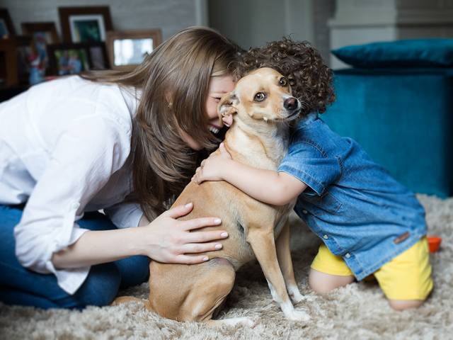 FAMILIA of Família do Matheus