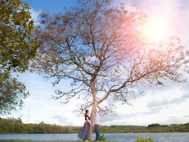 Ensaios  de Ensaios Gestante e Casais