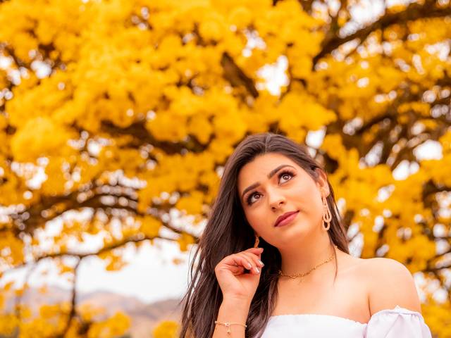 Ensaio debutante de Ensaio Debutante com Danielly