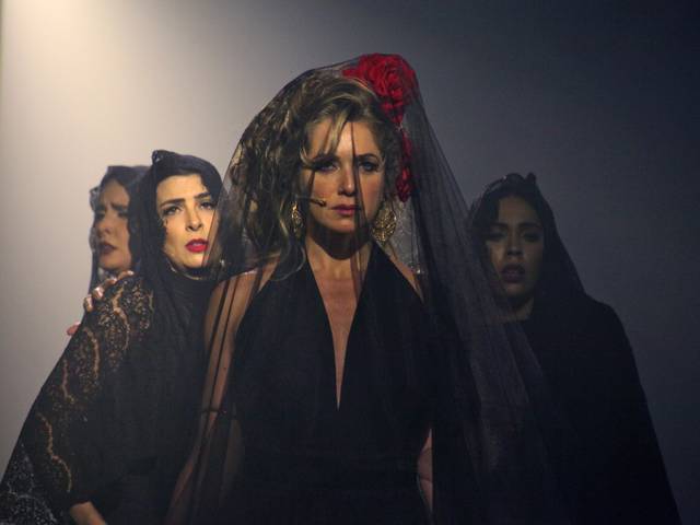 Espectáculos de Zorro