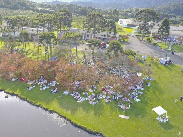 Institucionais de Piquenique da Família