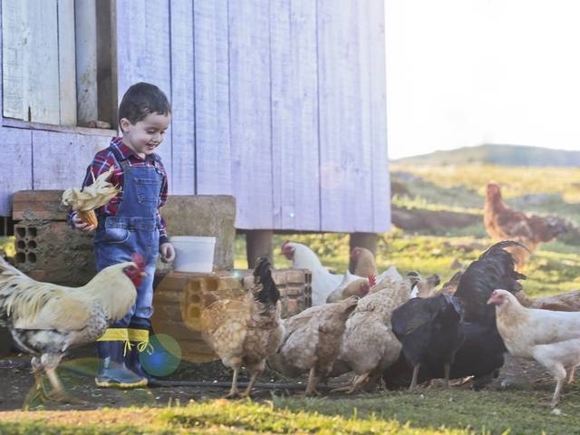 CRIANÇAS de João Antonio