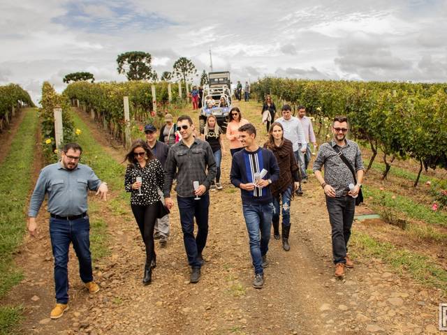 FESTAS de Vindima de Altitude 2019 | Vinícola Pericó