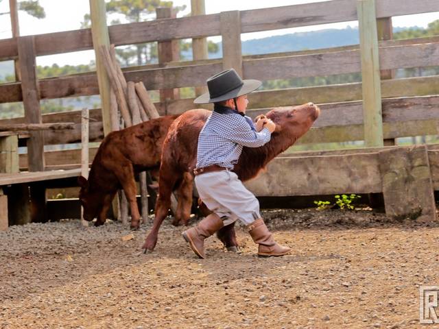 CRIANÇAS de Rafale | 3 anos