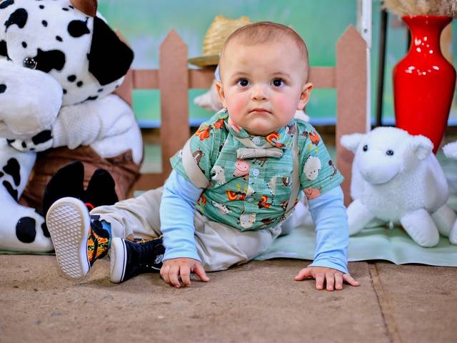 ANIVERSÁRIOS de Bernardo 1 Ano