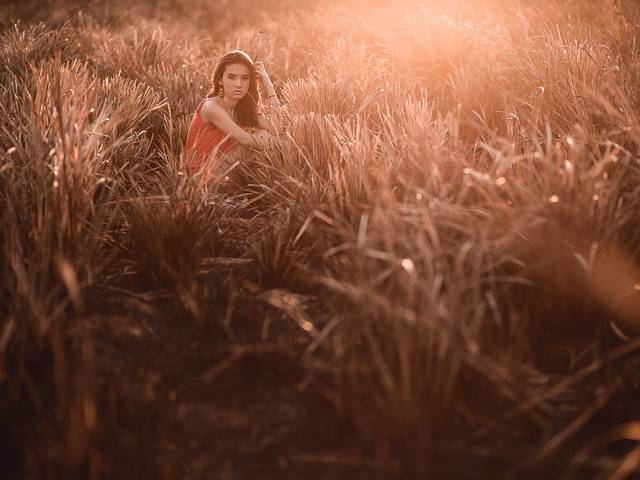 Ensaios de 15 Lucyanna Brito