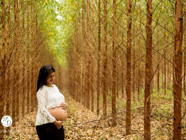 Gestante de Ensaio Gestante | Cristiane