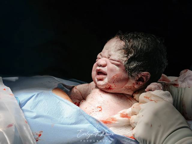 Partos de Chegada da Bella