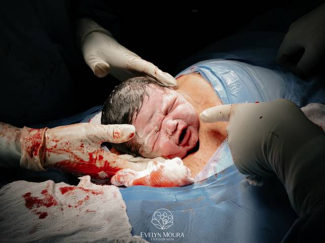 Partos de Chegada da Maria Flor