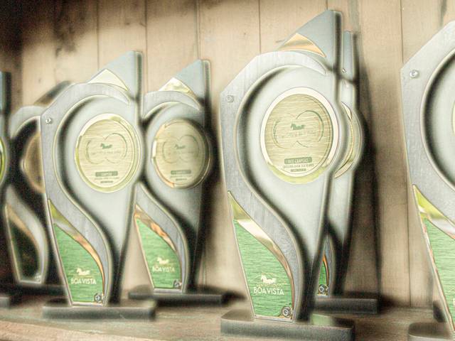 Cento Hipico Boa Vista - Ranch Sorting de 1° etapa da 1° Copa CHBV de Ranch Sorting