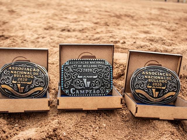 Provas Equestres de 4º Etapa da ANB - Associação Nacional Bulldog e Final 2020