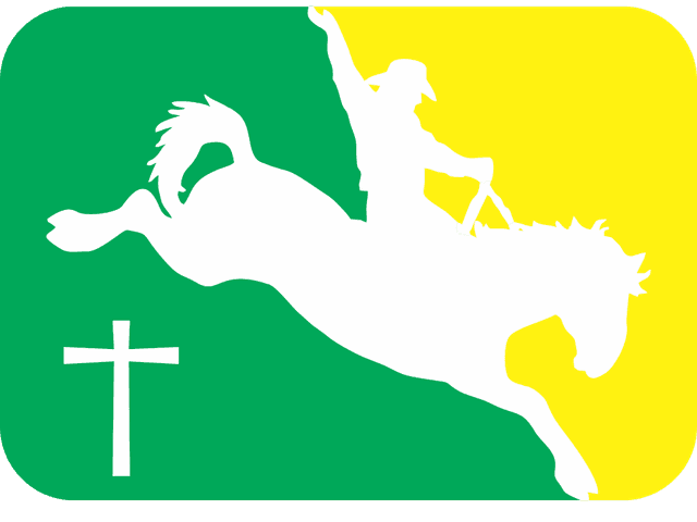 Cavalos de Pulo de Jangada Bucking Horse