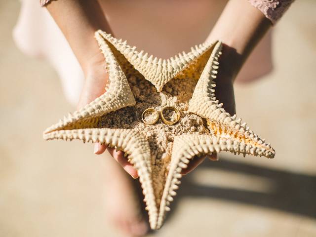 Casamentos de Casamento em Punta Cana