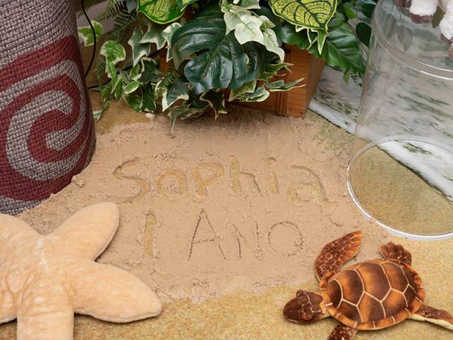 Aniversário Infantil de 1° ANINHO DA SOPHIA