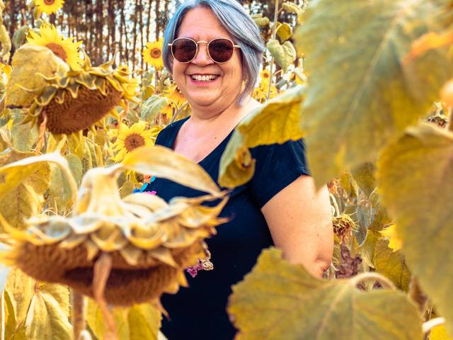 Ensaios de Girassóis - 2