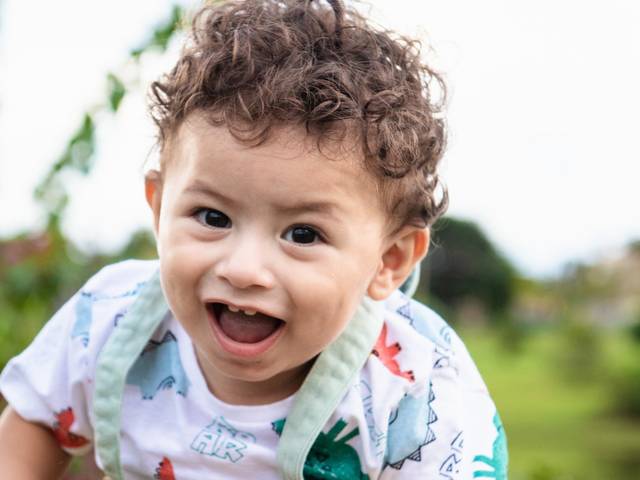 Aniversário Infantil de Pic Nic do Miguel - 1 Aninho