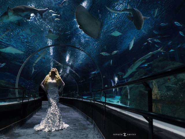 EDITORIAL de Sereias