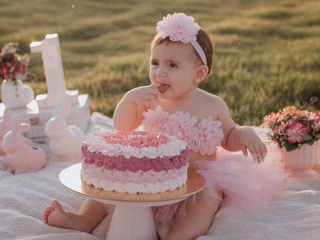 Smash the Cake de Ellen 