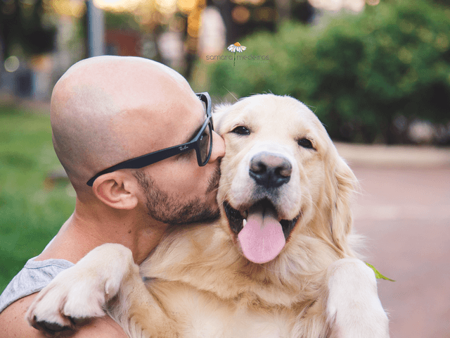 Fotografia pet de Ensaio pet - Massimo e Evandro