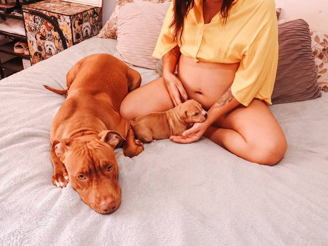 Gestante Lifestyle de A espera de Lucca 