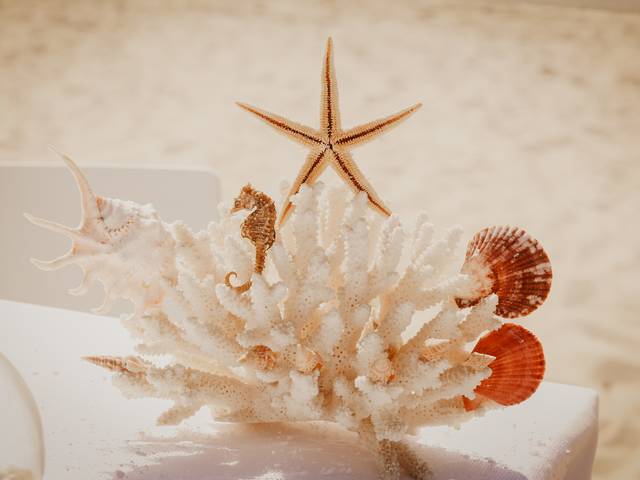 Casamento of Rute + Paulo - Weddind Day