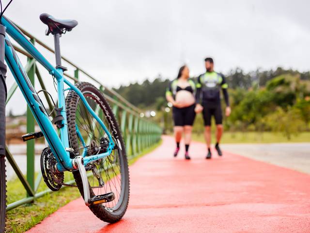 Gestante de Phelipe + Ana Karla