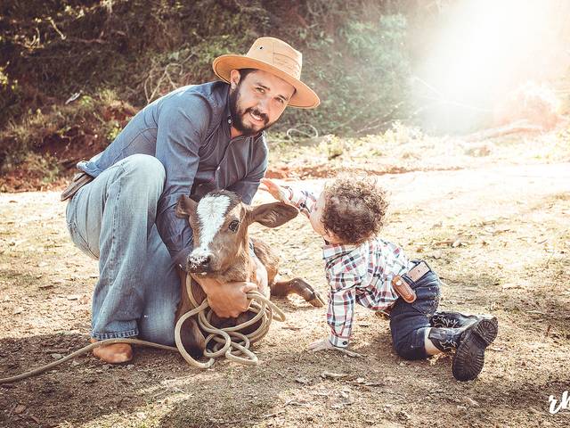 Smash the Cake de José Henrique