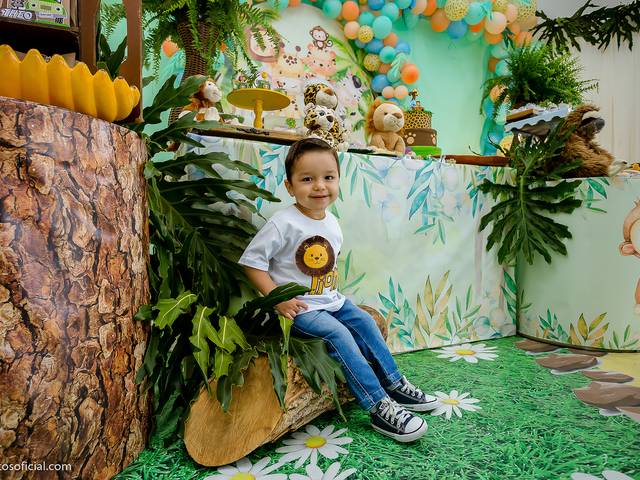 Aniversário Infantil de Théo - 2 anos