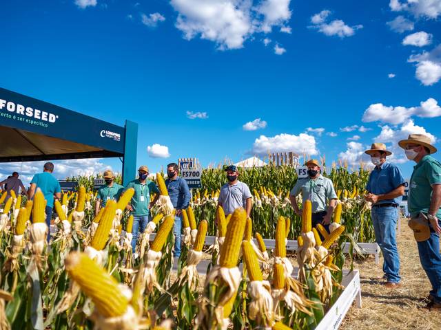Publicidade de Dia de Campo LAR 2022