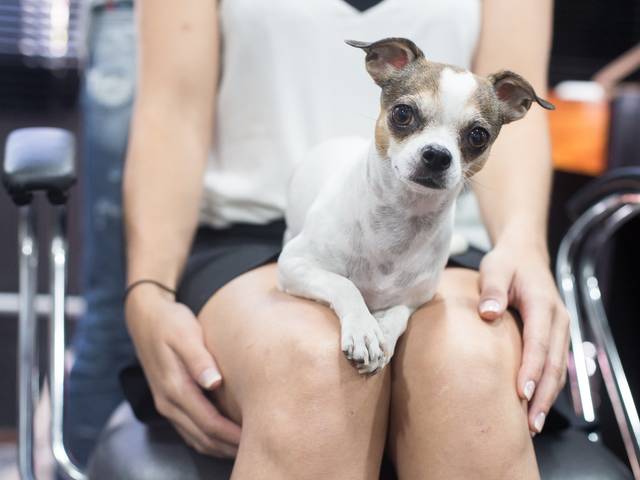 Casamento Civil de Cynthia e Diego