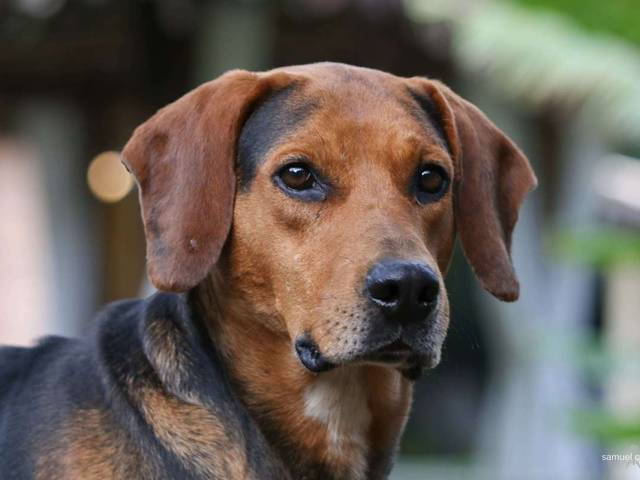 Fotografias de Natureza de 