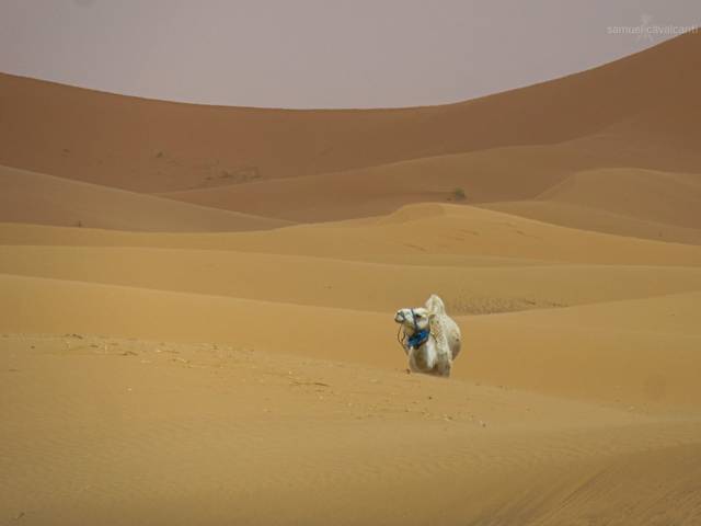 Fotografias de Natureza de MUNDO ÁRABE