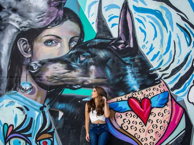 15 Anos de Bia 15 Anos