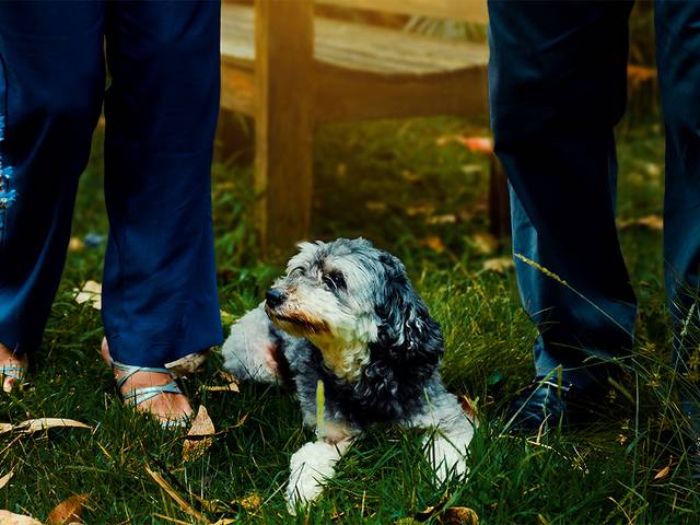 Bodas de Osmar & Débora