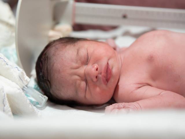 Parto de A chegada de Dudu