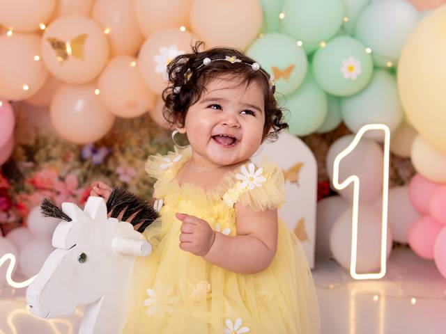 Smash the cake de Smash the Cake Cecília - tema Jardim das Borboletas