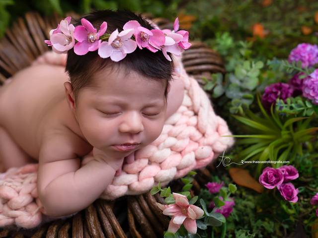 Newborn de Newborn Isabela