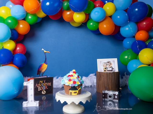 Decorated Cake Up Altas Aventuras
