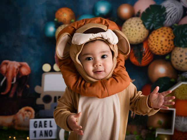 Smash the cake de Smash the cake Gael - Safari